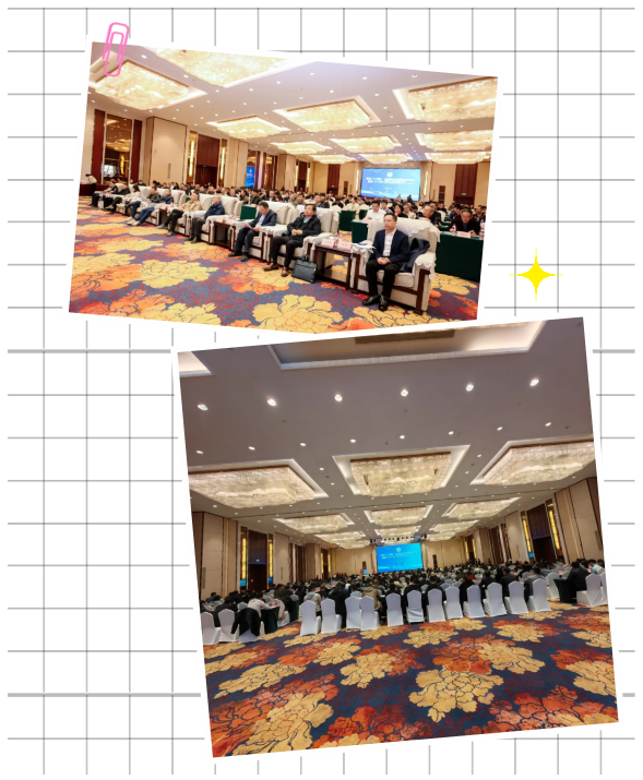 1740982290606526.png 1740982285763.png